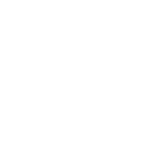 Special programs and activities